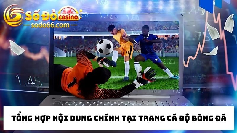 nội dung cập nhật tại trang cá cược bóng đá