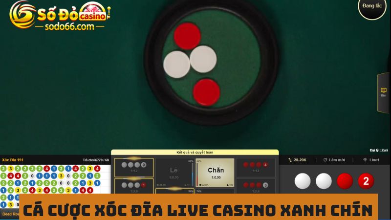 Cá cược xóc đĩa live casino kịch tính 