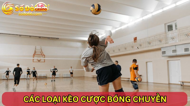 Các loại kèo cá cược bóng chuyền 