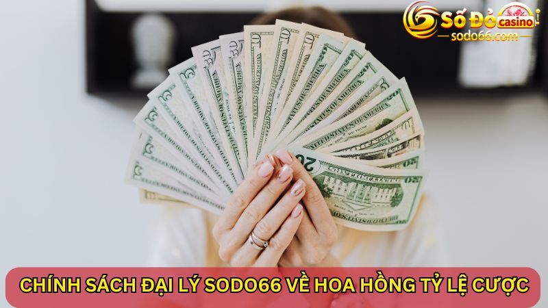 Chính sách đại lý SODO66 về hoa hồng tỷ lệ cược