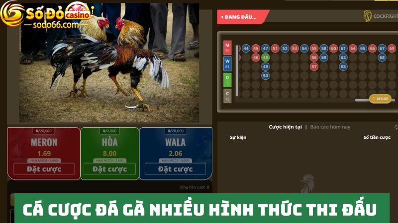 Đá gà SODO66 trực tuyến