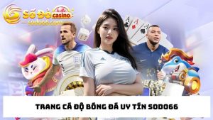 trang cá cược bóng đá