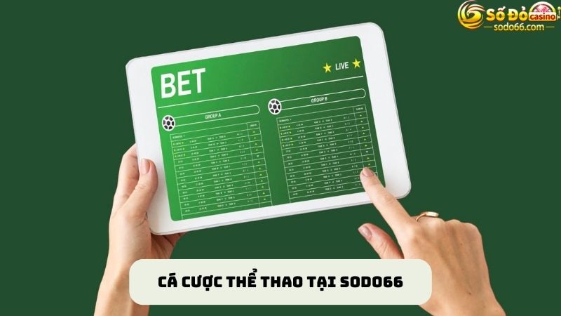 Khám phá các sảnh cá cược thể thao SODO66