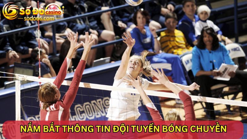 Nắm bắt thông tin cá cược bóng chuyền 