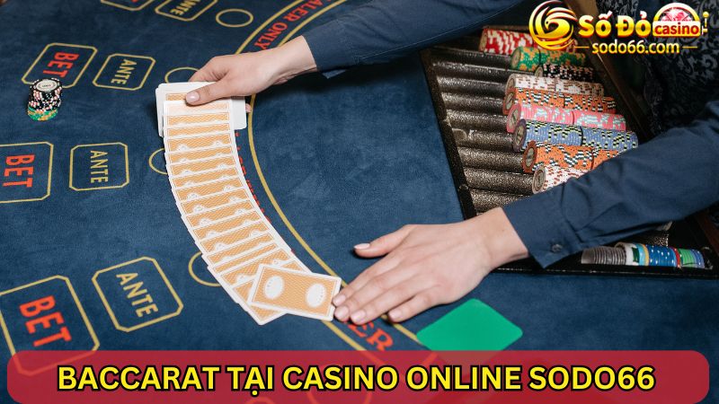 Tham gia chơi Baccarat tại Casino Online SODO66 