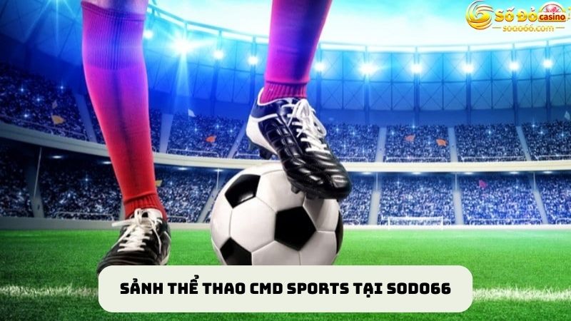 Thiên đường giải trí CMD Sports cho mọi bet thủ