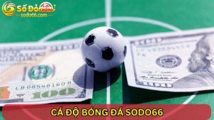 cá độ bóng đá SODO66