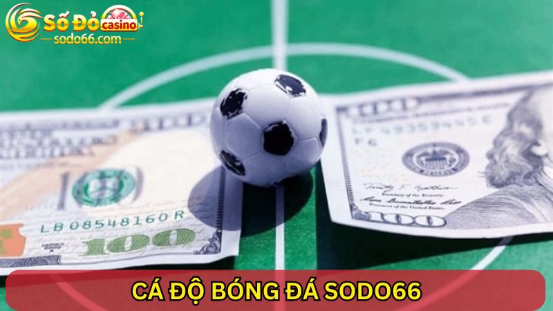 cá độ bóng đá SODO66