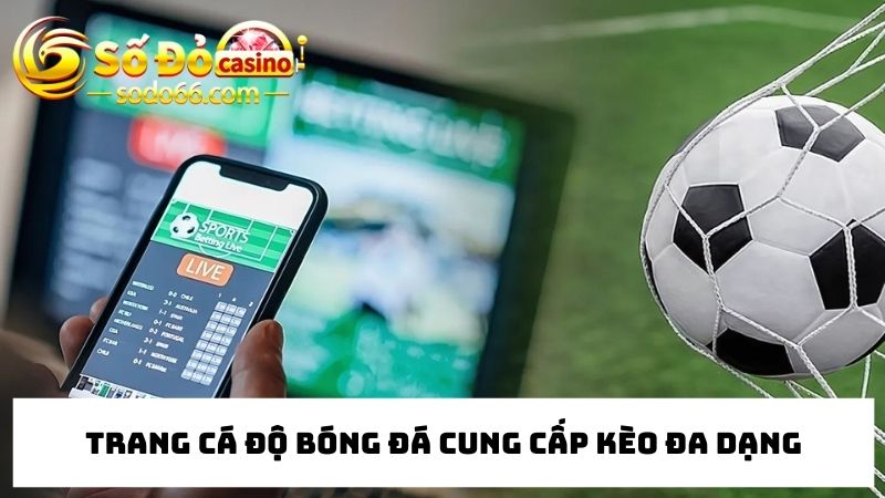 trang cá cược bóng đá đa dạng kèo